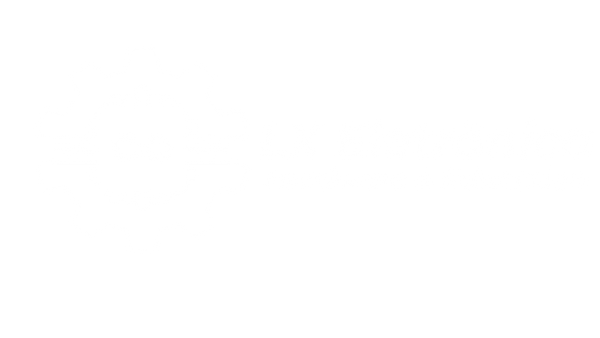 LX Eletrônica